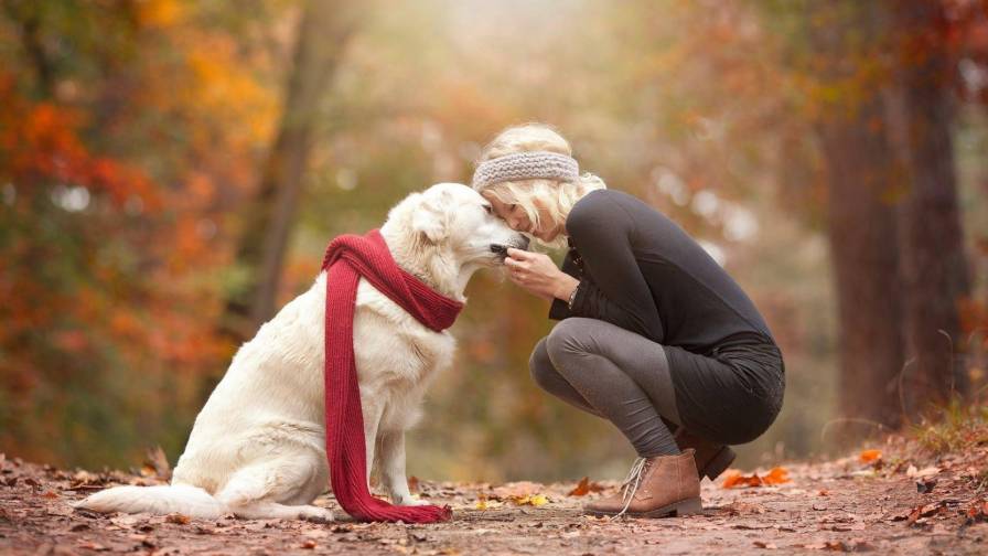 1920x1200 Girl Dog Walk Fall Photo Shoot