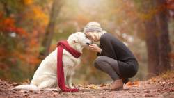 1920x1200 Girl Dog Walk Fall Photo Shoot