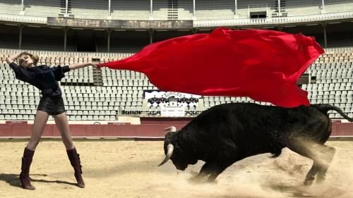 Beautiful Girl Bull Fighting