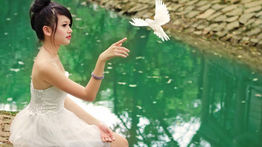 Girl And A Dove