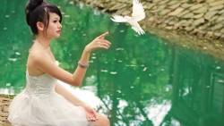 Girl And A Dove