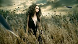 Girl Black Dress Feathers 2560x1600