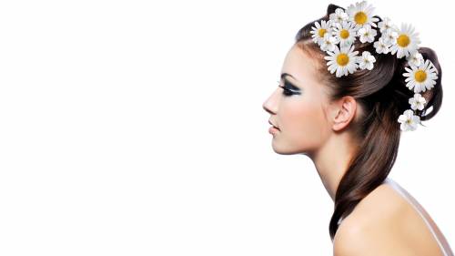 Girl Flowers Daisies