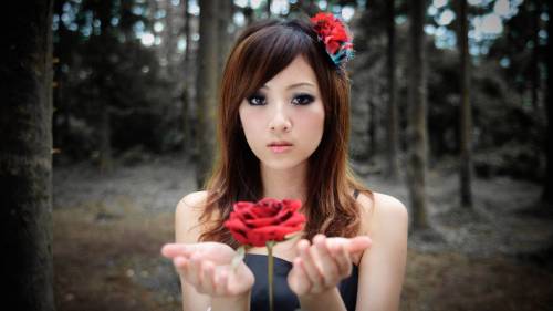 Girl With Red Rose 2560x1600