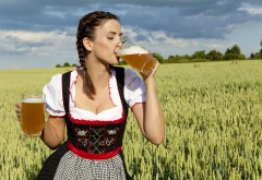 Девушка в униформе немецкая фрау с пивом на поле обои с…