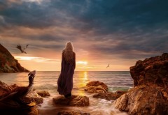 Обои с девушкой стоящей на камнях у моря рядом с дракон…